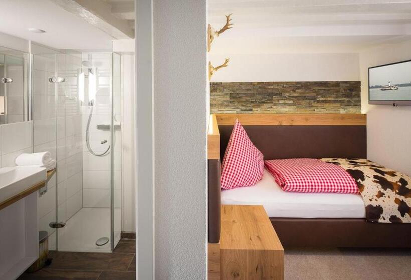 Habitación Estàndard Individual, Alte Schule