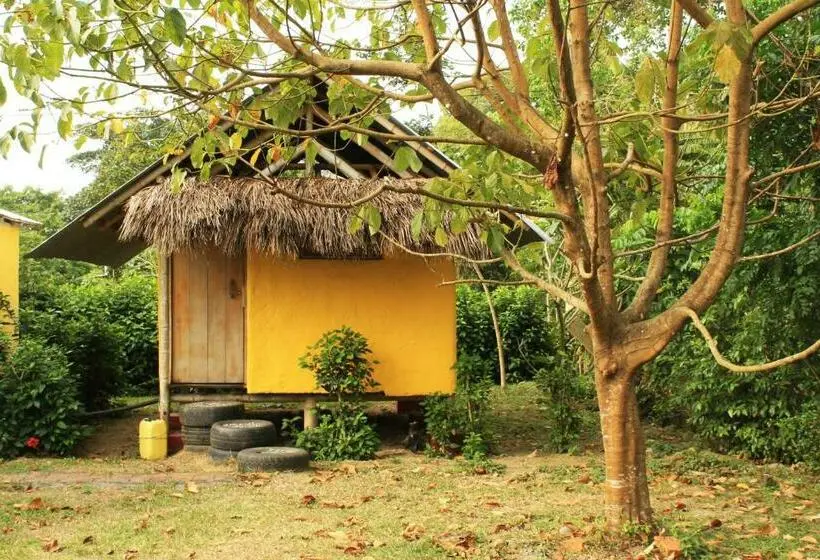 Standard-huone, Maracumbo Lodge
