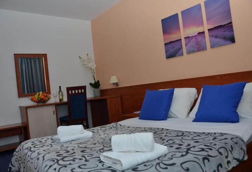 标准房带园景, Liberty