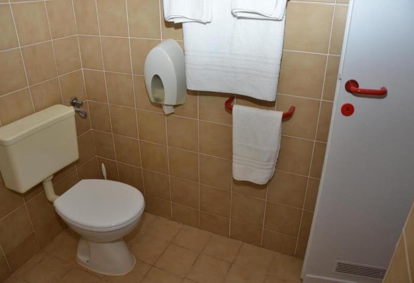 标准房带园景, Liberty