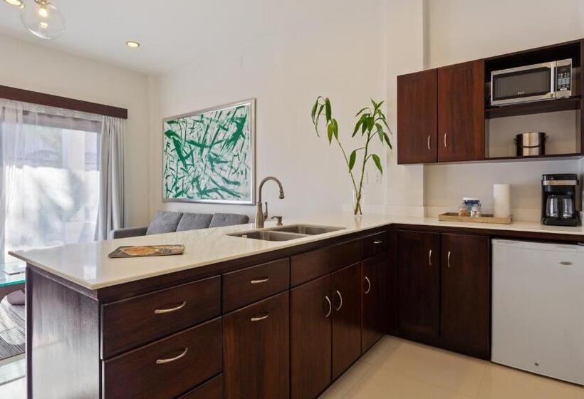 סוויטה, The Ellysian Boutique