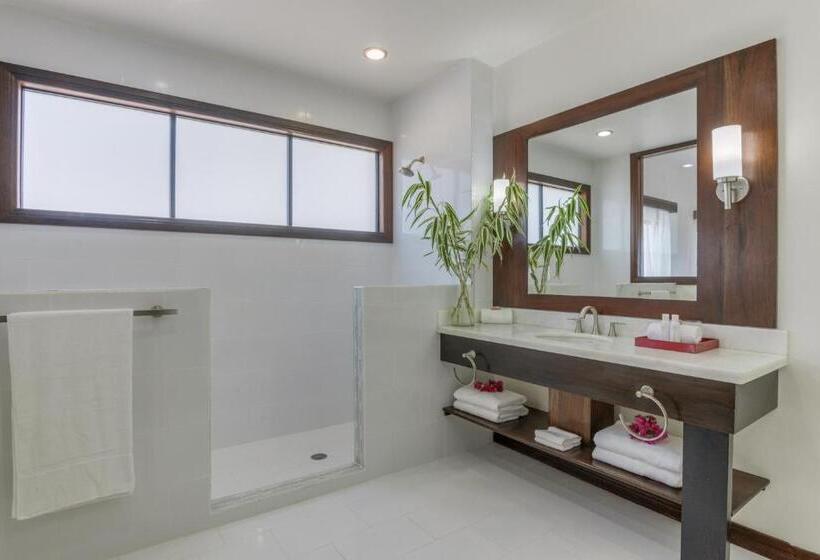 סוויטה, The Ellysian Boutique