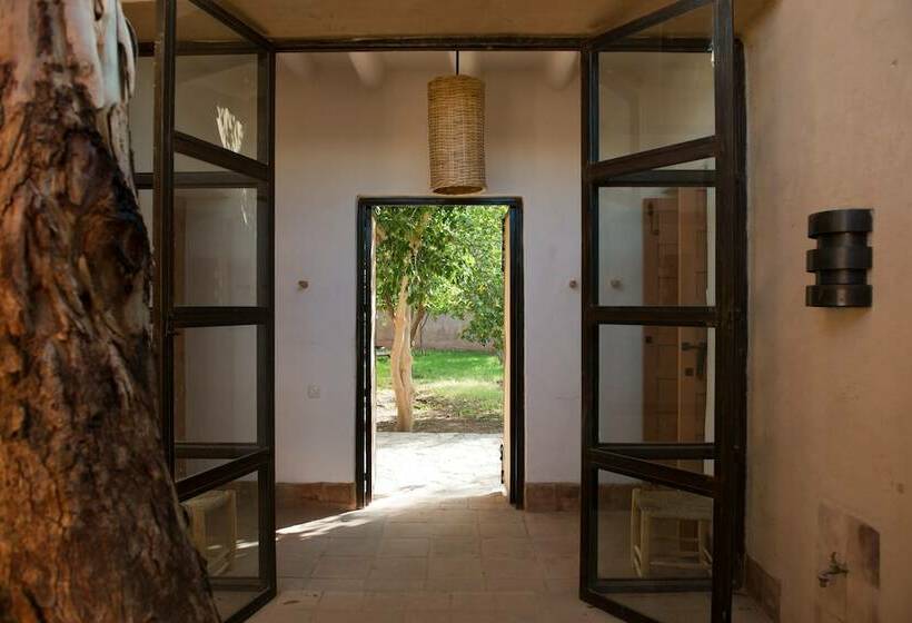 חדר סופריור, Dar Al Hossoun