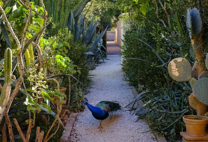 חדר סטנדרט, Dar Al Hossoun