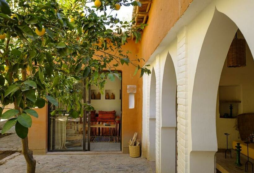 סוויטת ג'וניור, Dar Al Hossoun