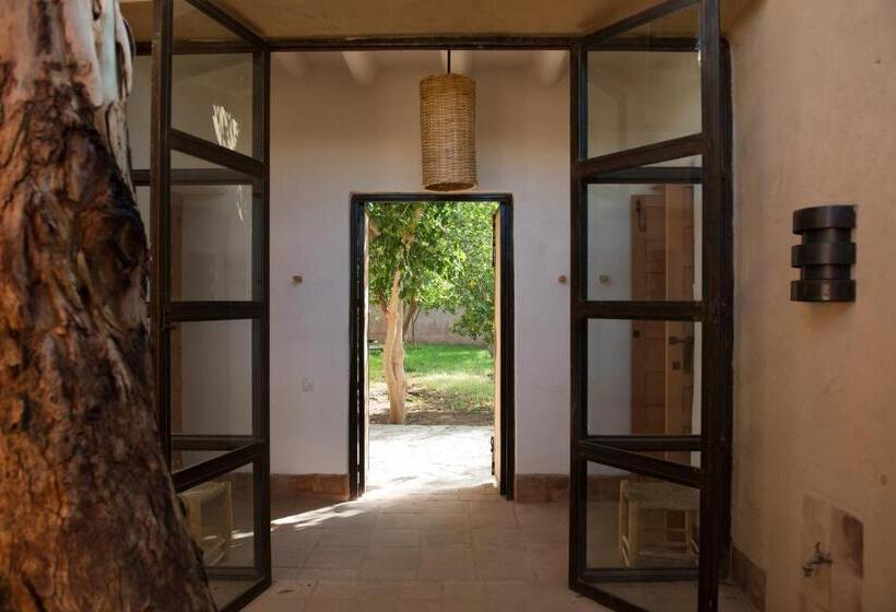 חדר סופריור, Dar Al Hossoun