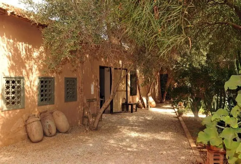 Superior-huone, Dar Al Hossoun