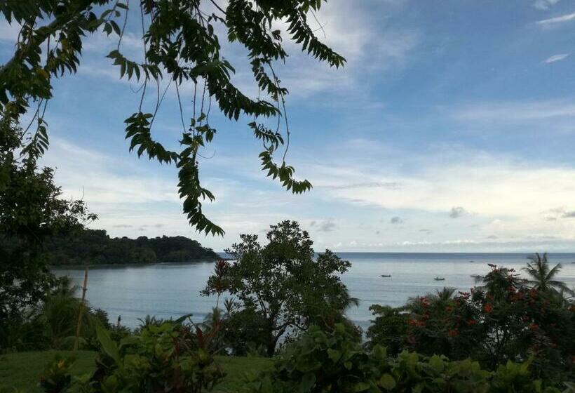 اتاق استاندارد با سرویس بهداشتی مشترک, Osa House   Drake Bay