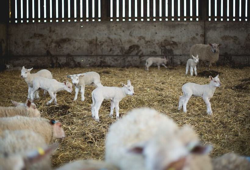 Семейный Номер, Owen House Farm