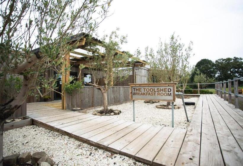 Номер Стандарт, Owen House Farm