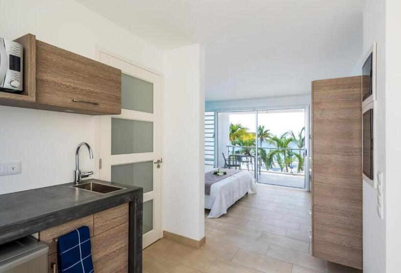 استودیوی استاندارد با چشم‌انداز دریا, Delfins Beach Resort