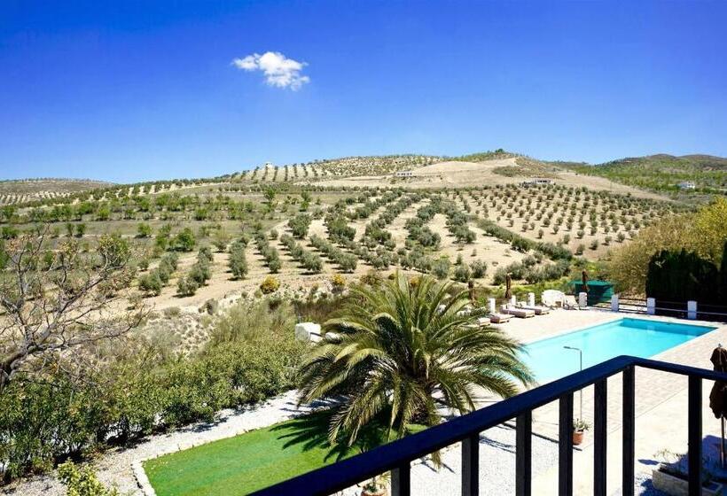 스탠다드 룸 킹사이즈 침대, El Amparo