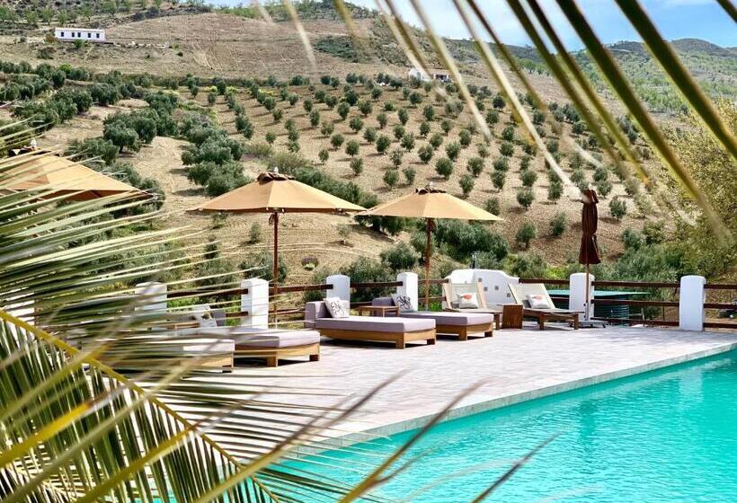 스탠다드 룸 킹사이즈 침대, El Amparo