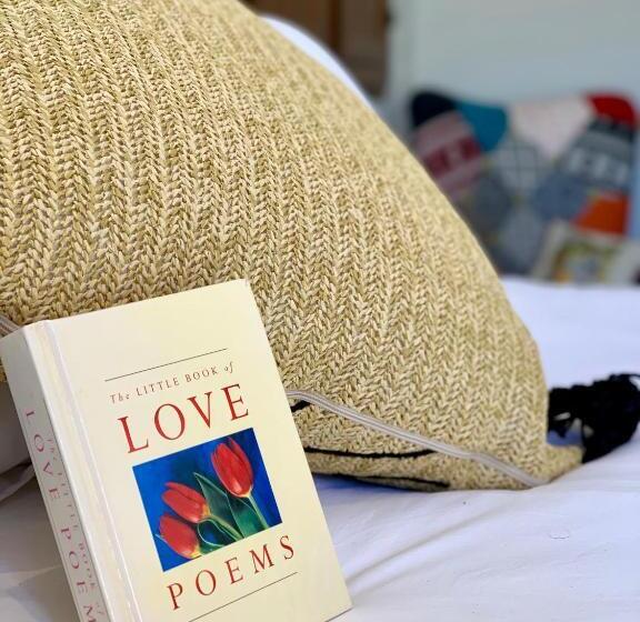 테라스 스위트, El Amparo