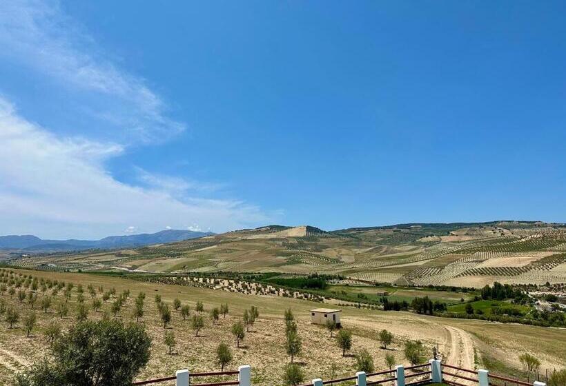 발코니가 있는 스위트, El Amparo