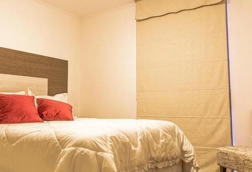 اتاق استاندارد, Boutique Suri