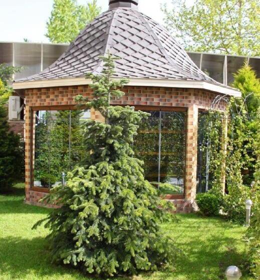 اتاق لوکس, Manor Luxury Hotel Baku