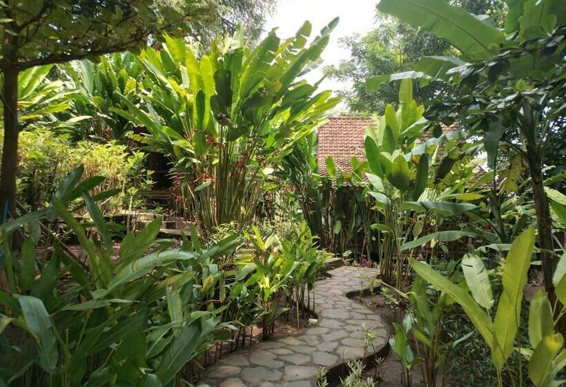 Семейное Бунгало, Ocean Prana Village