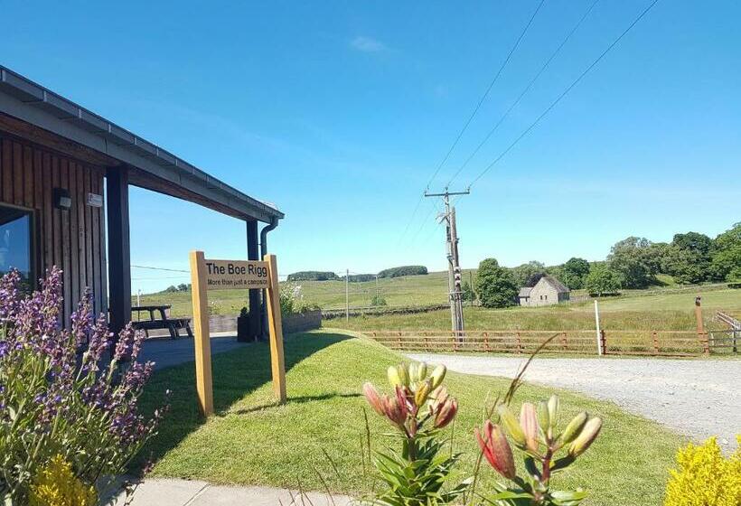 스탠다드 스튜디오, The Boe Rigg