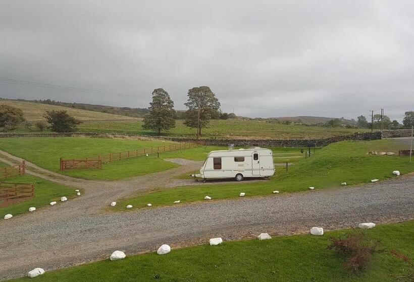 디럭스 룸, The Boe Rigg