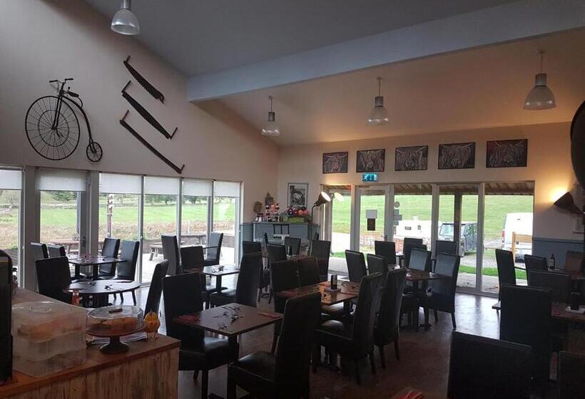 Номер Deluxe, The Boe Rigg