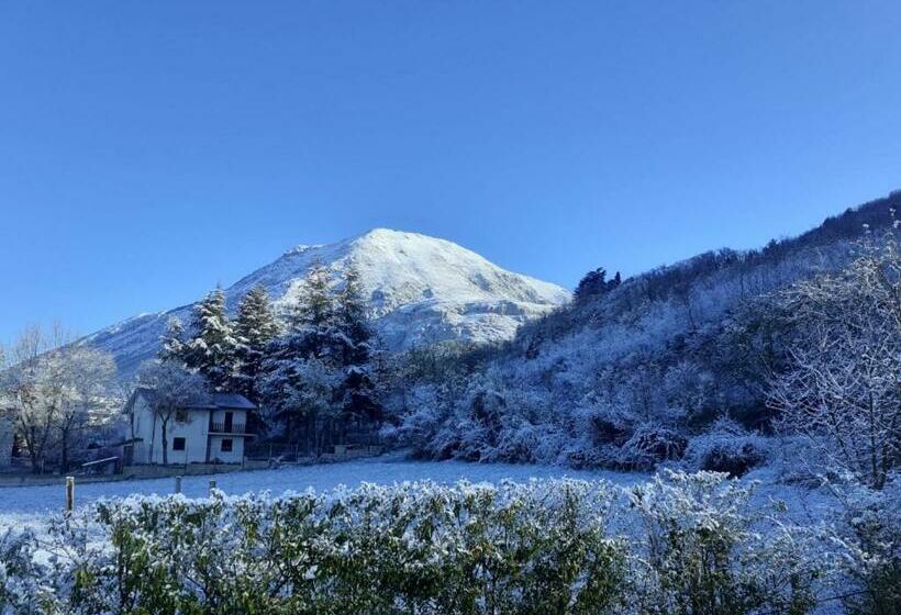 Номер Basic, Il Fortino