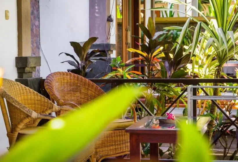 Chambre Standard Vue Jardin, Oasis