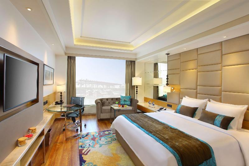 اتاق کلاس بیزنس, Radisson Blu Jammu