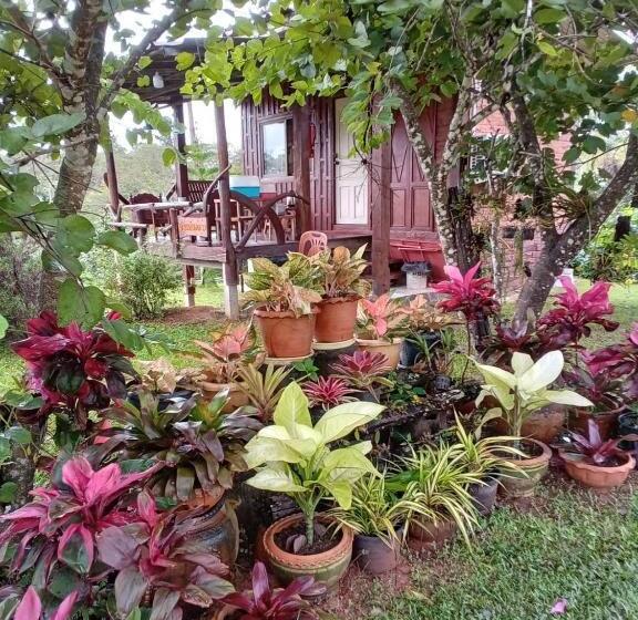 خانه 1 خوابه, Phu Aram Khao Kho Resort