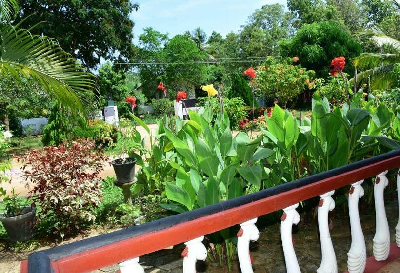 스탠다드 트리플 룸, New Vilard