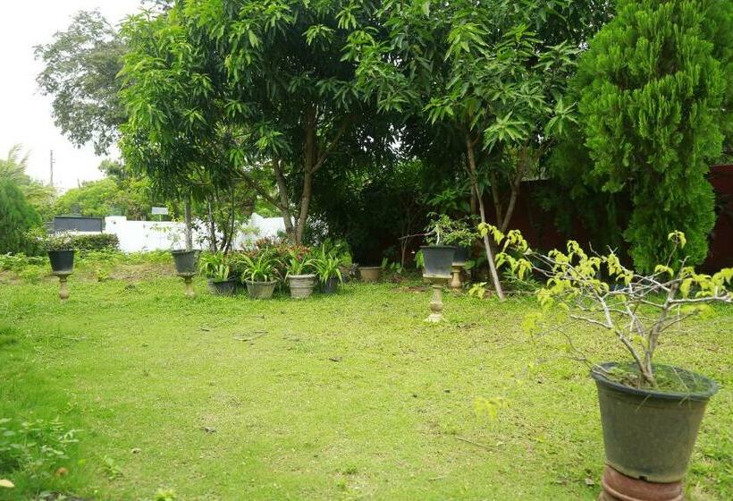 스탠다드 트리플 룸, New Vilard