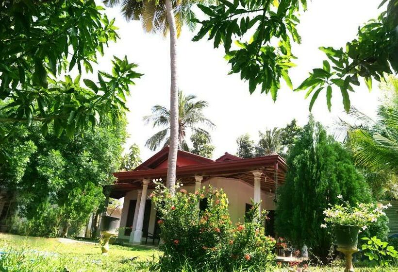 스탠다드 트리플 룸, New Vilard