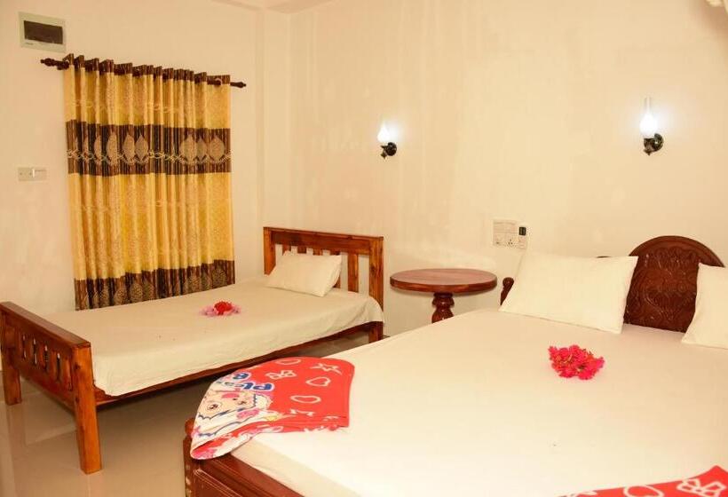 스탠다드 트리플 룸, New Vilard