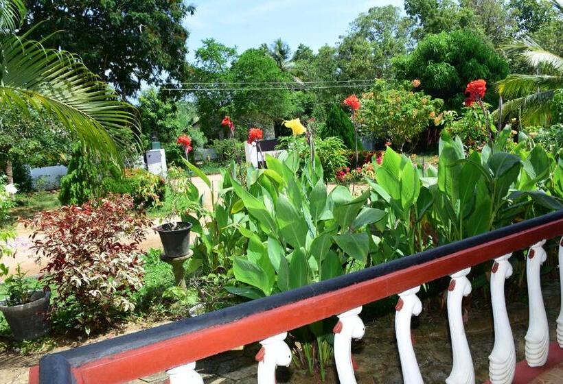 스탠다드 룸, New Vilard