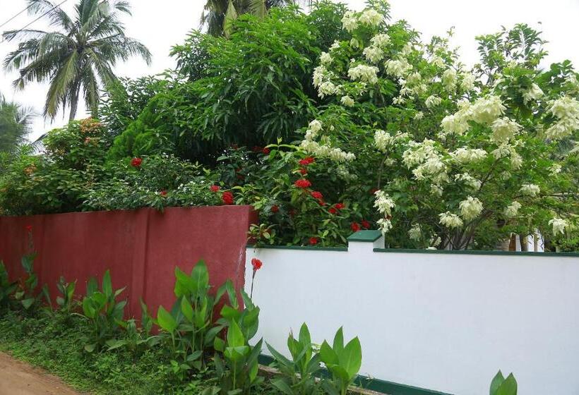 스탠다드 룸, New Vilard