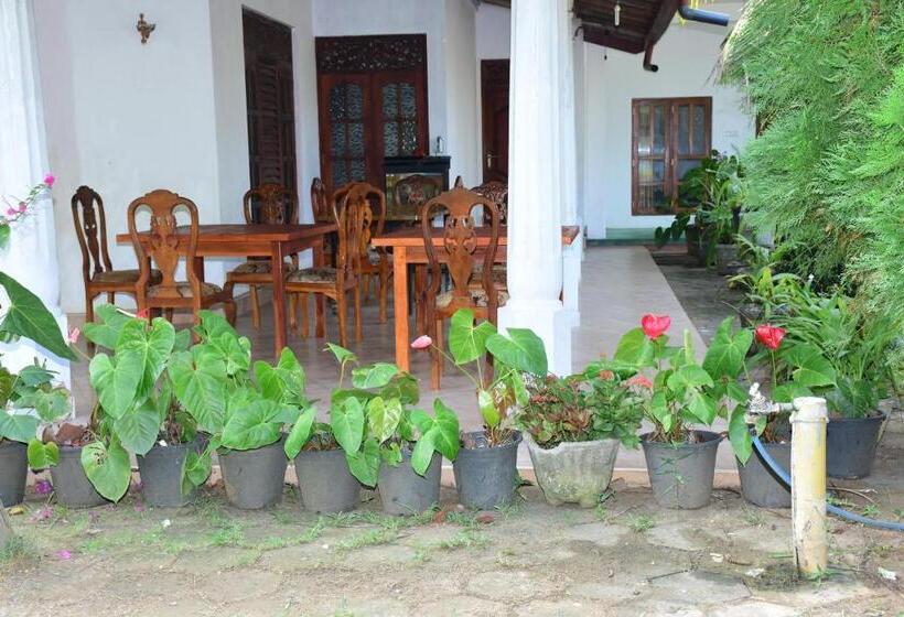 스탠다드 룸, New Vilard