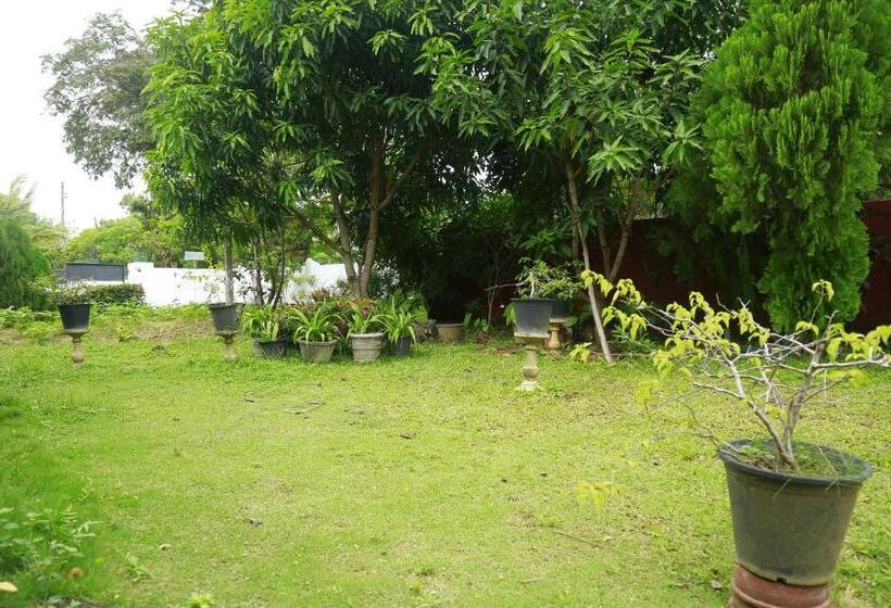 스탠다드 룸, New Vilard