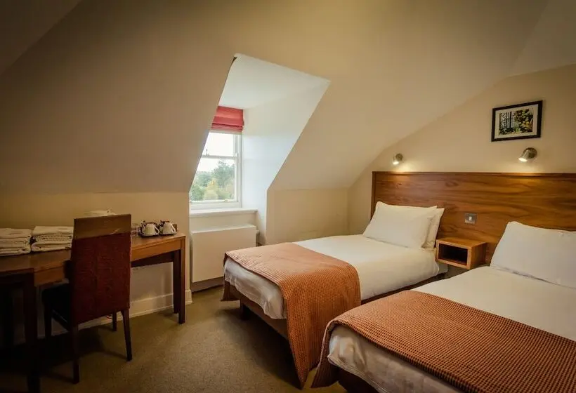اتاق استاندارد با سرویس بهداشتی مشترک, Dcu Rooms All Hallows