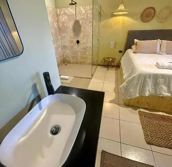 デラックスルーム, Y Cabinas Del Trópico