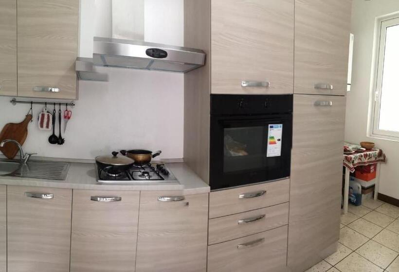 اتاق کلاسیک سه تخته, New Life