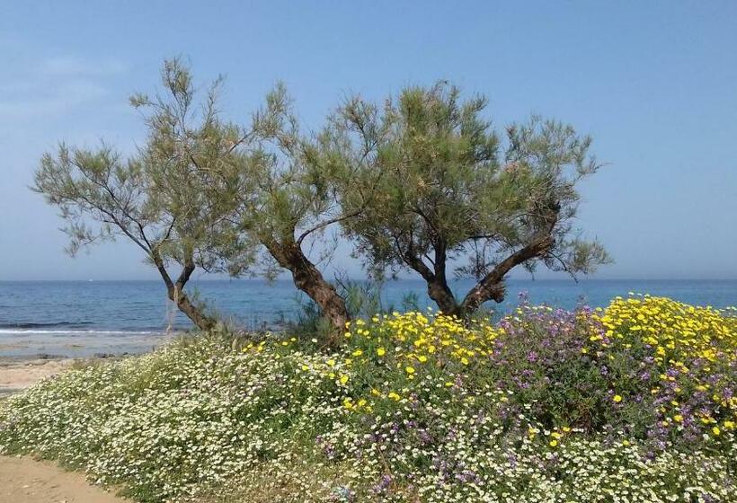 Suite with Terrace, The Proud Garden