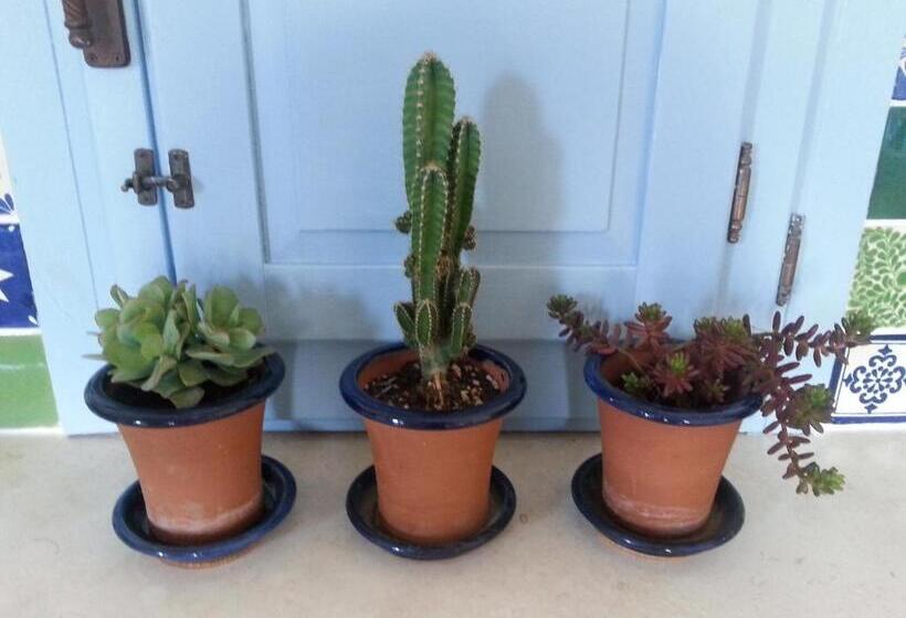 Suite with Terrace, The Proud Garden