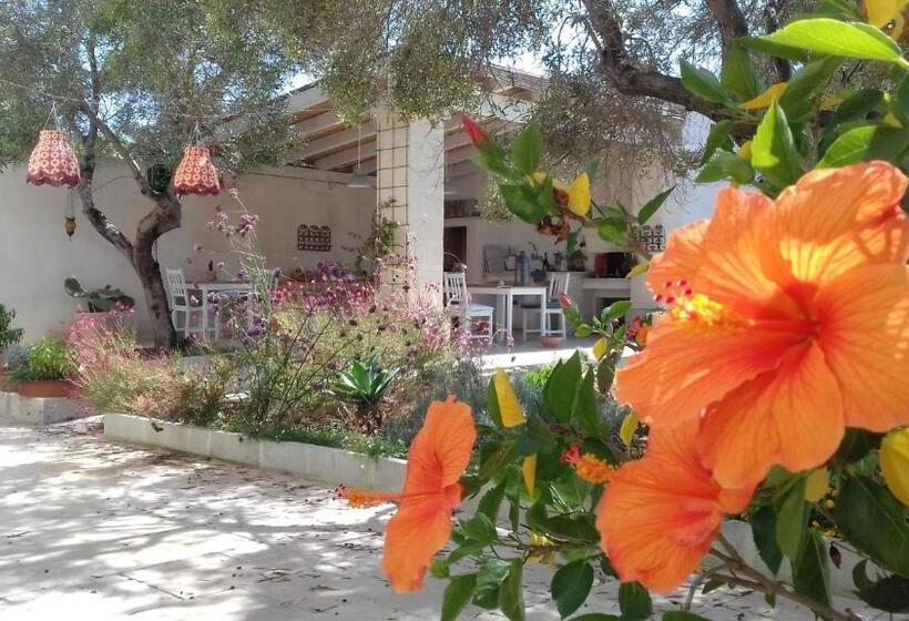 ویلای یک اتاق خوابه با استخر شنا, The Proud Garden