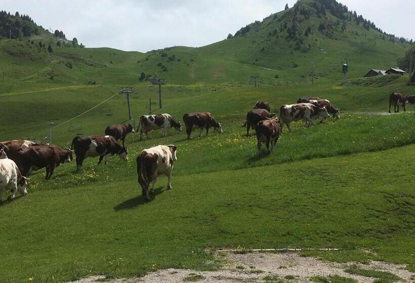 חדר סטנדרט, Hôtel Les Skieurs