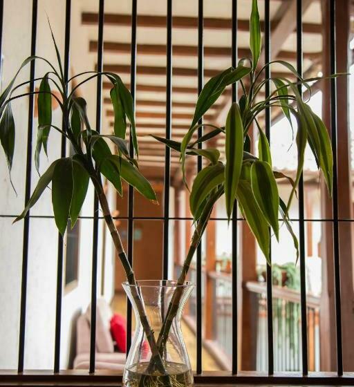 スタンダードルーム, La Casona Monsante