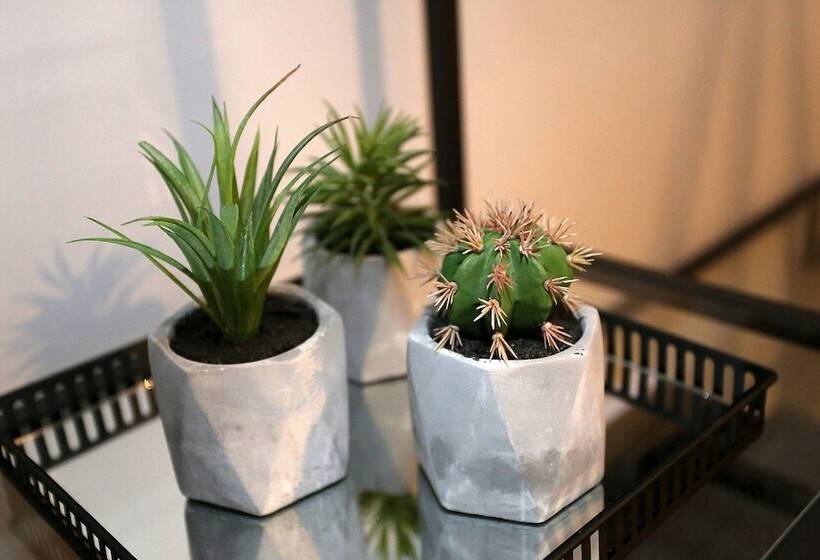 스탠다드 발코니 룸, Prestige Design Rooms