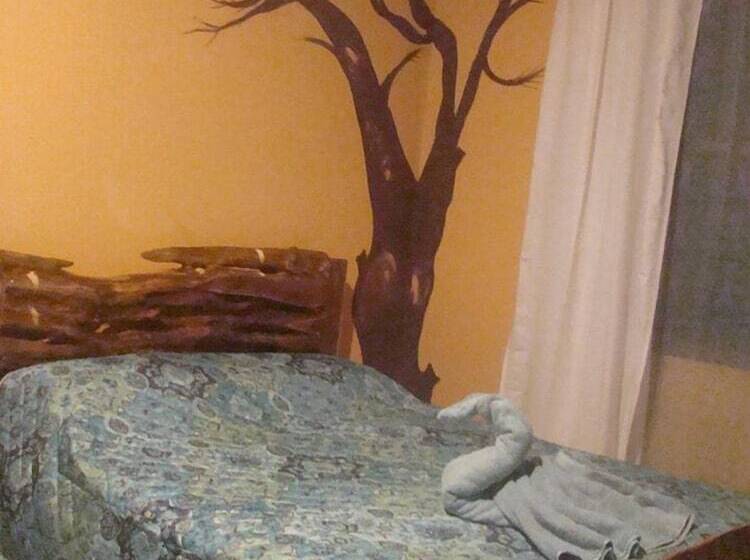 スタンダードルーム, Quinta Mi Tata B&b