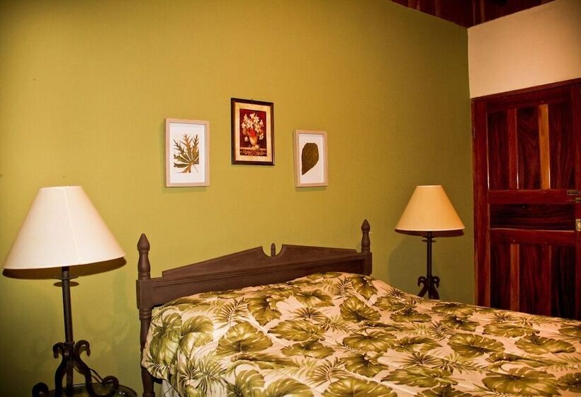 スタンダードルーム, Quinta Mi Tata B&b