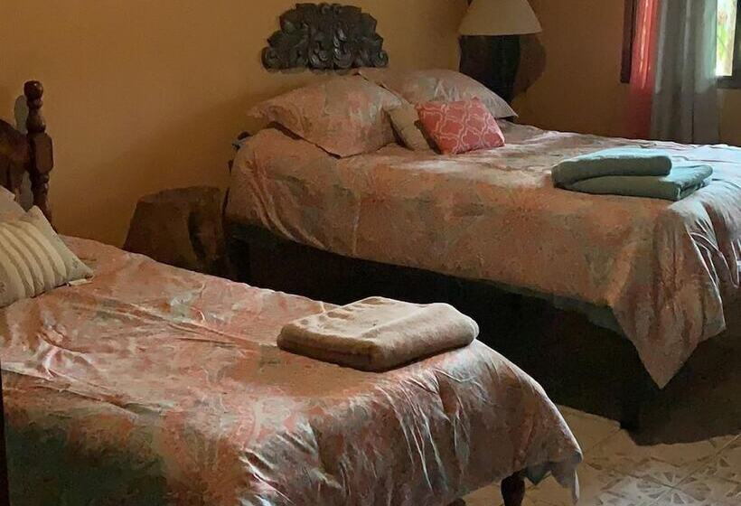 スタンダードルーム, Quinta Mi Tata B&b