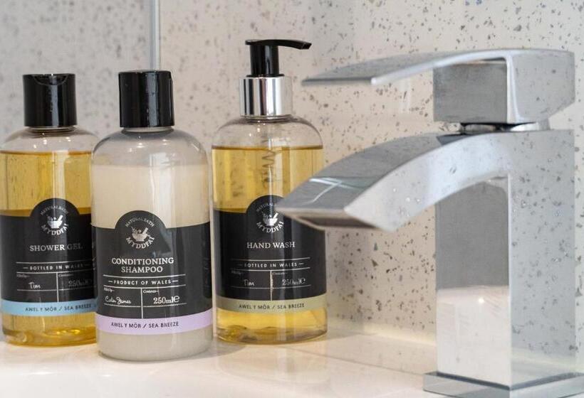 高级海景房, Awel Y Mor